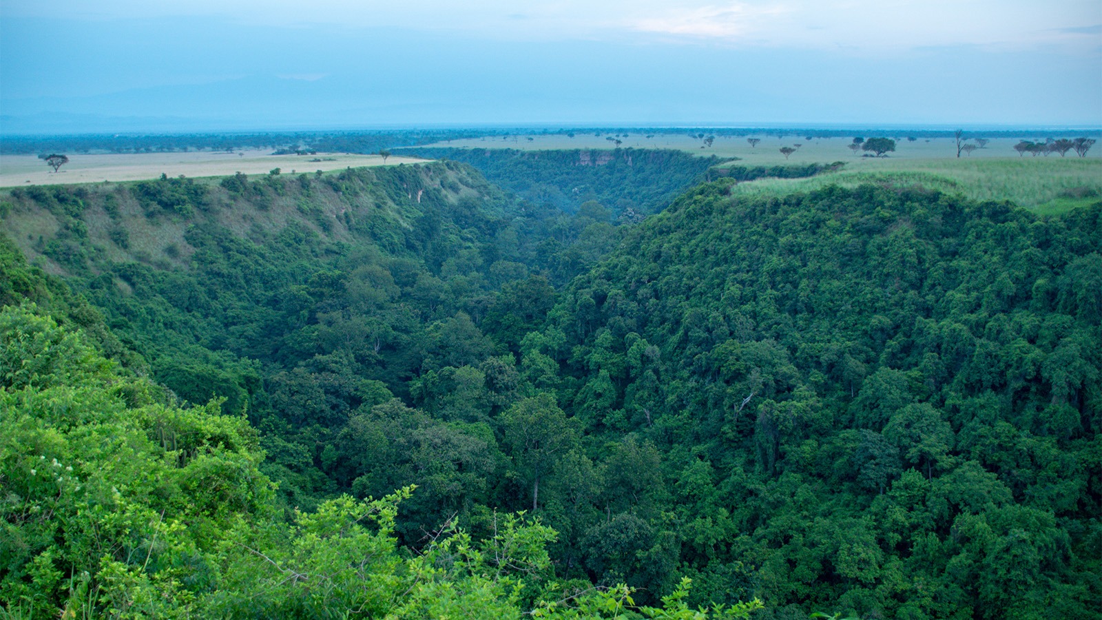 Queen Elizabeth National Park: A True Medley of Wonders