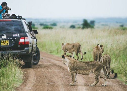 3 Days Uganda Gorilla Safari Fly-in
