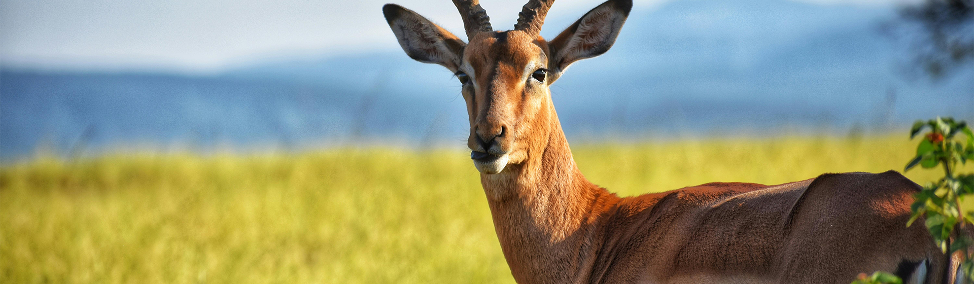 Rwanda