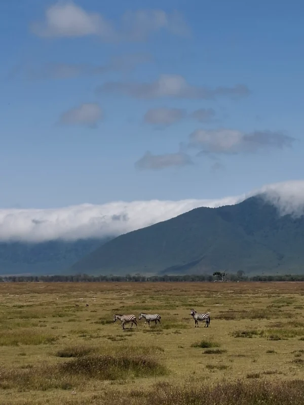 Mount Kilimanjaro Hike post KaribuKilifair 2026